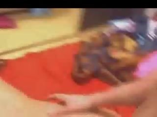 Thuộc về chó phong cách chết tiệt recorded trên webcam mov