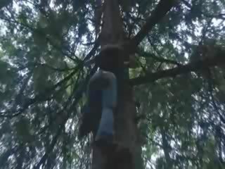 Outdoors sucking prick in the forest