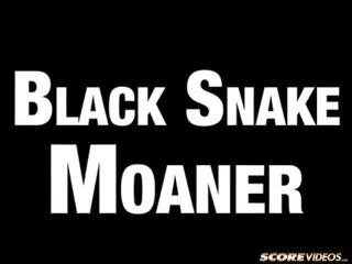 Negra serpente moaner