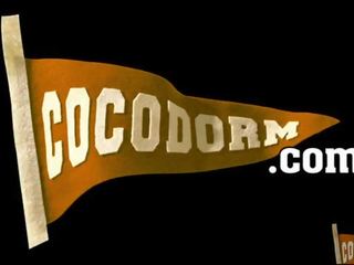 Cocodorm londona d + iezis rockafella ķircinātājs