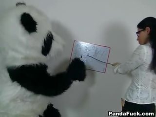 Erotic mugallym for turned on panda aýy