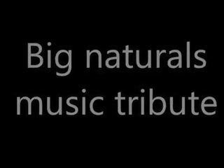 Pmv - muzik tribute besar naturals